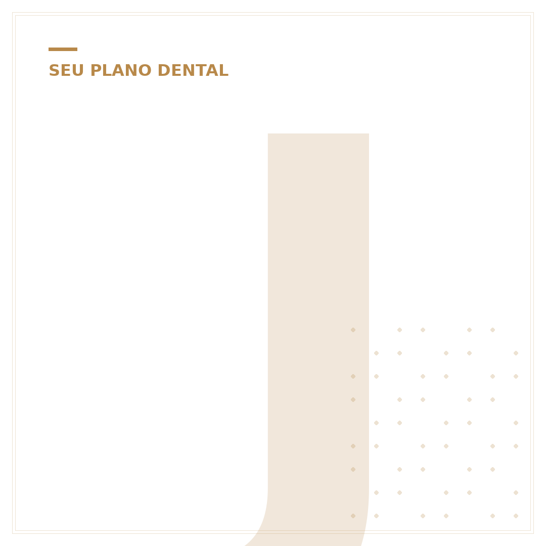 Jaqueta de Dente Valor - Guia Completo e Atualizado